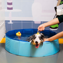 Load image into Gallery viewer, Foldable Dog Pool Pet Bath Summer Outdoor Portable Swimming Pools Indoor Wash Bathing Tub Collapsible Bathtub for Dogs Cats Kids